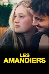 Jaquette du film Les Amandiers