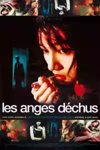 Jaquette du film Les Anges déchus