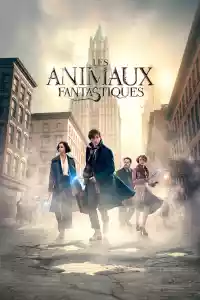 Jaquette du film Les Animaux Fantastiques