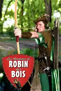 Jaquette du film Les Aventures de Robin des Bois