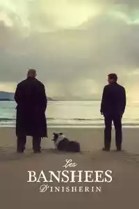 Jaquette du film Les Banshees d'Inisherin