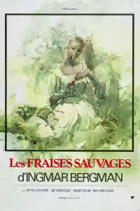 Jaquette du film Les Fraises sauvages