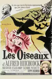 Jaquette du film Les Oiseaux