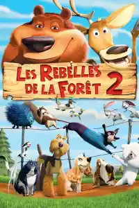 Jaquette du film Les Rebelles de la forêt 2