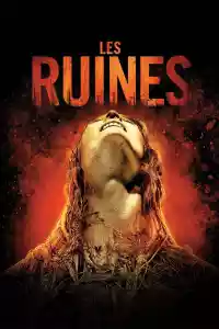 Jaquette du film Les Ruines