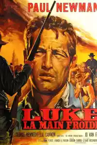 Jaquette du film Luke la main froide