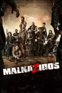 Jaquette du film Malnazidos