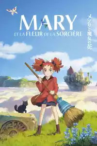 Jaquette du film Mary et la fleur de la sorcière