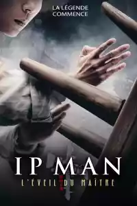 Jaquette du film Master Ip Man : The Awakening