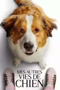 Jaquette du film Mes Autres Vies de Chien