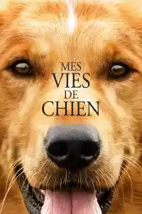 Jaquette du film Mes vies de chien