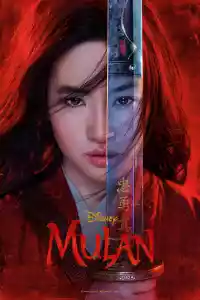 Jaquette du film Mulan