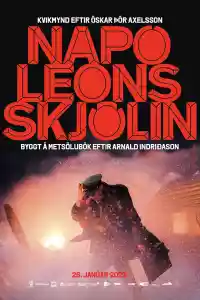 Jaquette du film Napóleonsskjölin