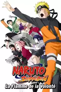 Jaquette du film Naruto Shippuden : La Flamme de la volonté