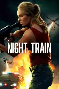 Jaquette du film Night Train