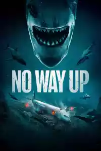 Jaquette du film No Way Up