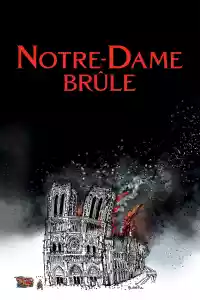 Jaquette du film Notre-Dame brûle