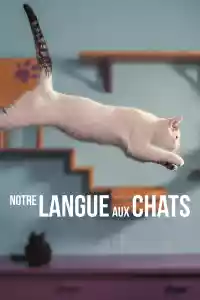 Jaquette du film Notre langue aux chats