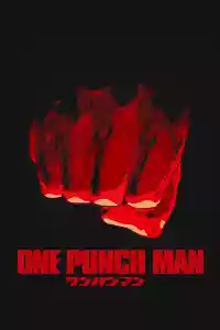 Jaquette du film One Punch Man