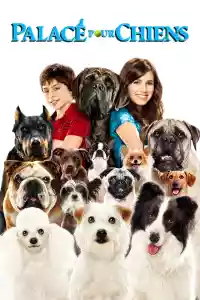 Jaquette du film Palace pour chiens