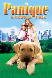 Jaquette du film Panique à Central Park