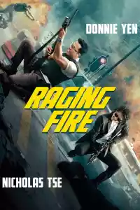 Jaquette du film Raging Fire