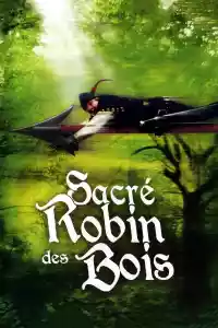 Jaquette du film Sacré Robin des bois