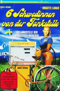 Jaquette du film Sechs Schwedinnen von der Tankstelle