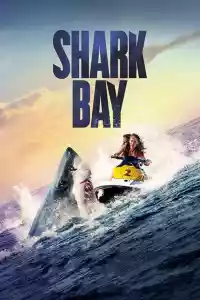 Jaquette du film Shark Bay