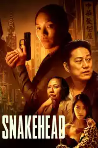 Jaquette du film Snakehead