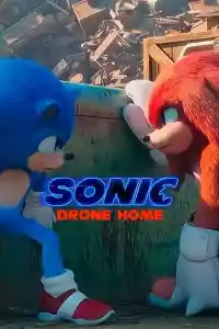 Jaquette du film Sonic Drone Home