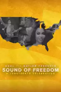 Jaquette du film Soul of a Nation Presents: Sound of Freedom – A Juneteenth Celebration