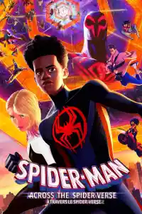 Jaquette du film Spider-Man: Across the Spider-Verse