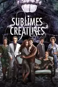 Jaquette du film Sublimes Créatures