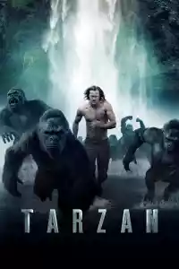 Jaquette du film Tarzan