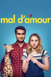 Jaquette du film The Big Sick