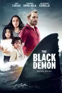 Jaquette du film The Black Demon