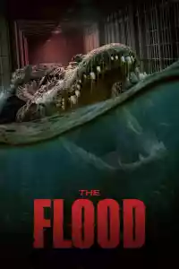 Jaquette du film The Flood