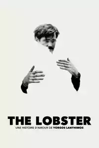 Jaquette du film The Lobster