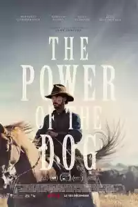 Jaquette du film The Power of the Dog