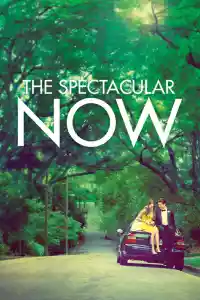 Jaquette du film The Spectacular Now