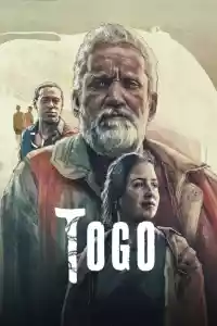 Jaquette du film Togo