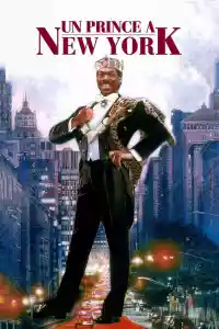 Jaquette du film Un prince à New York