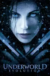 Jaquette du film Underworld 2 - Evolution