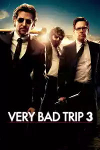 Jaquette du film Very Bad Trip 3