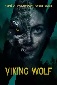 Jaquette du film Viking Wolf