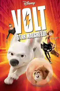 Jaquette du film Volt, star malgré lui