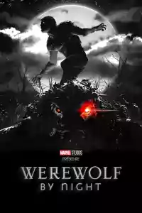 Jaquette du film Werewolf by Night