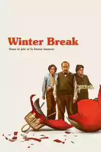 Jaquette du film Winter Break