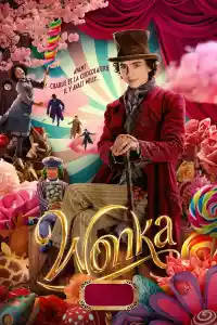 Jaquette du film Wonka